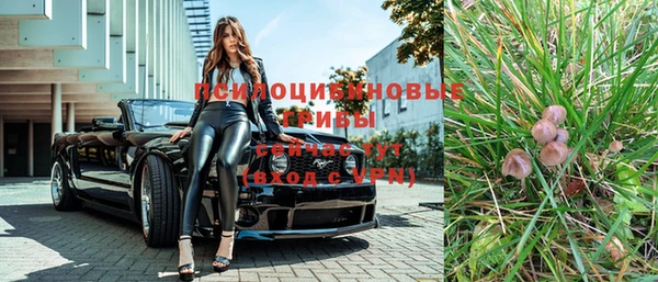 spice Алексеевка